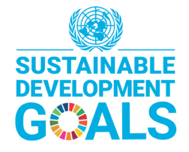 17 sustainable development goals