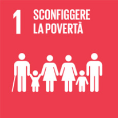 1 of 17 sustainable development goals