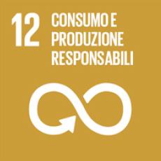 12 of 17 sustainable development goals