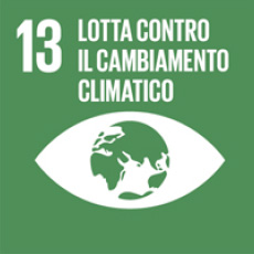 13 of 17 sustainable development goals