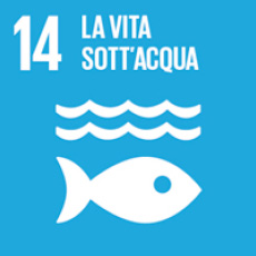 14 of 17 sustainable development goals