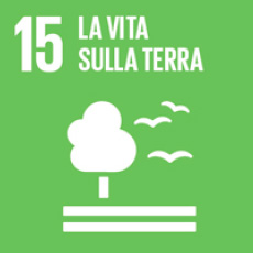 15 of 17 sustainable development goals