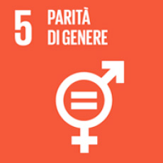 5 of 17 sustainable development goals