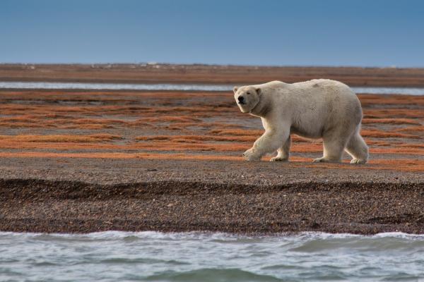 Il cambiamento climatico